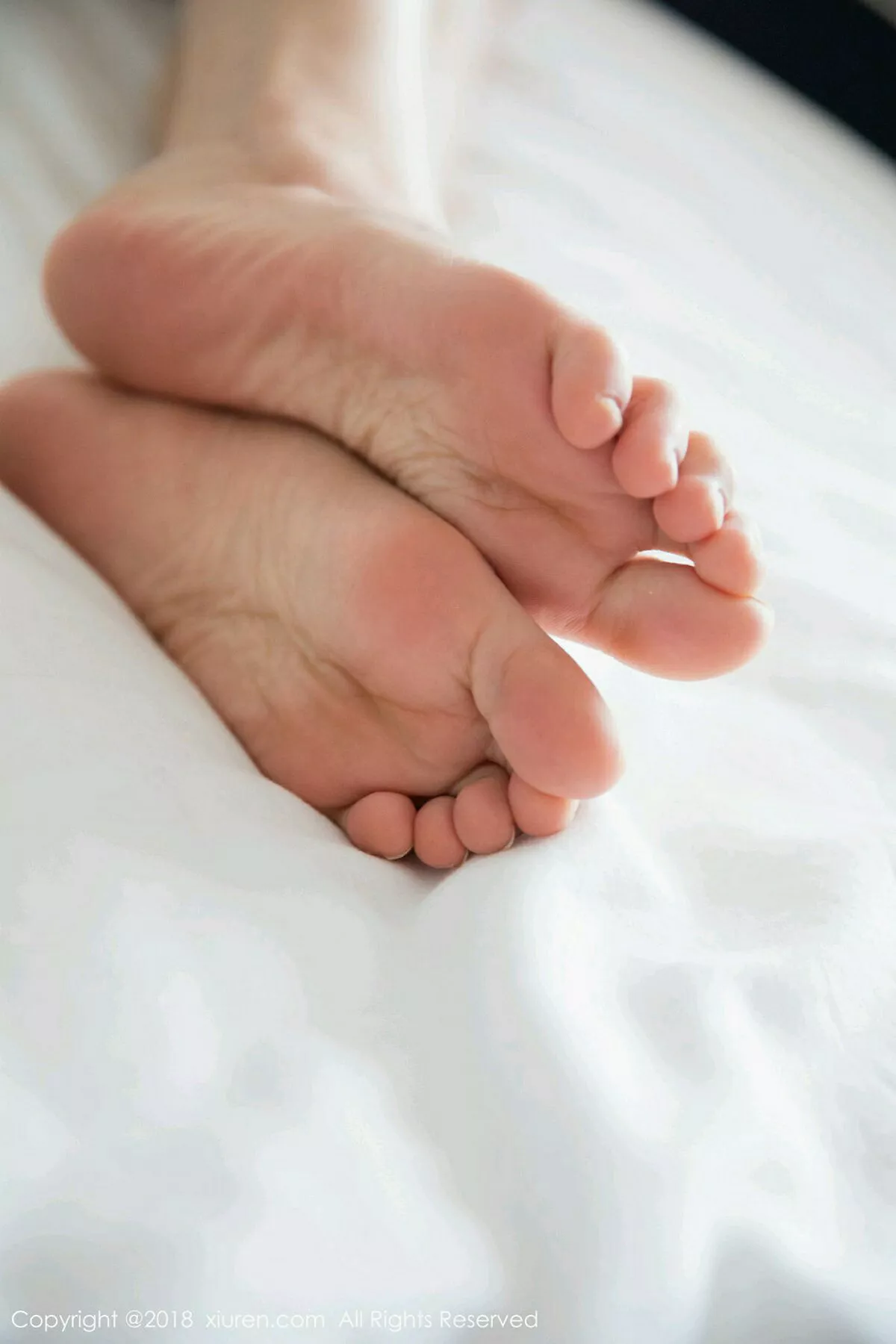 杨晨晨写真