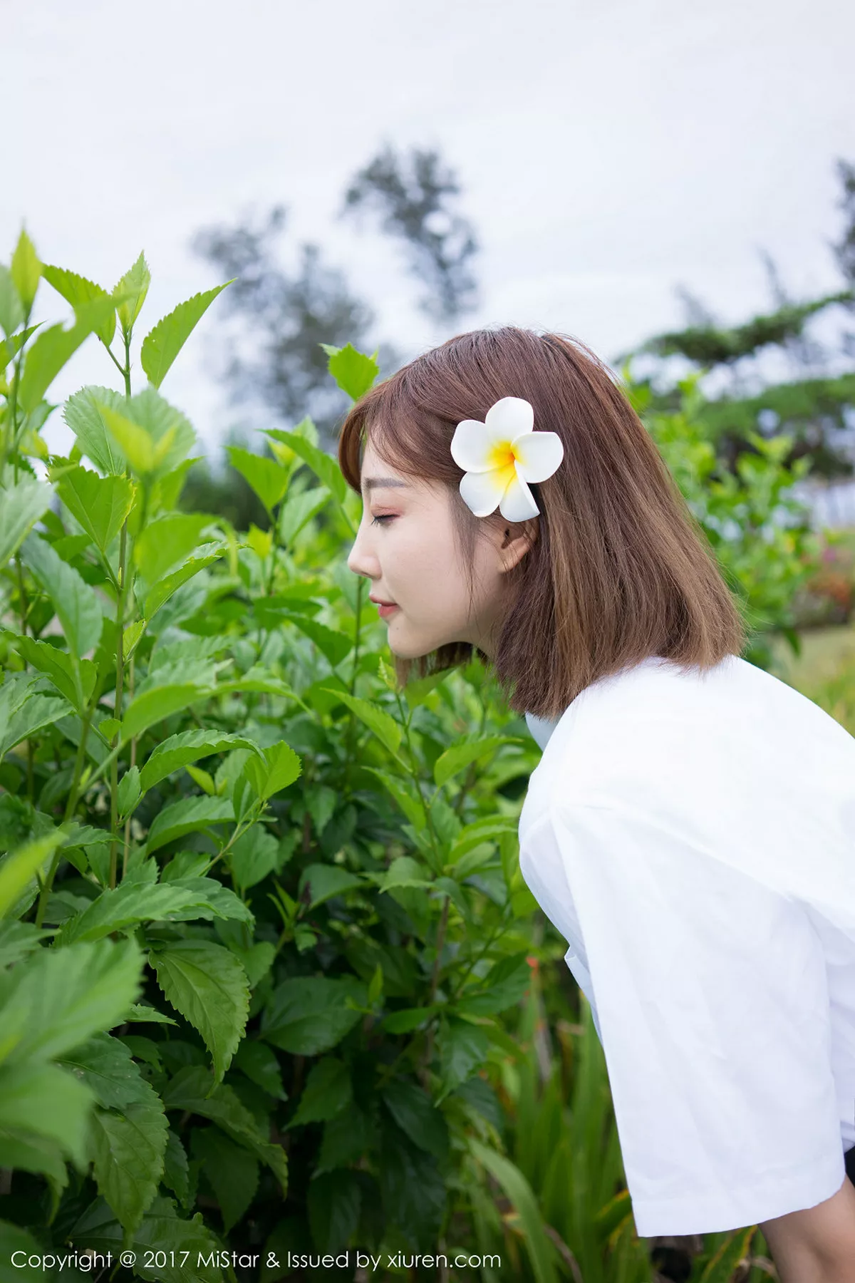 杨晨晨写真