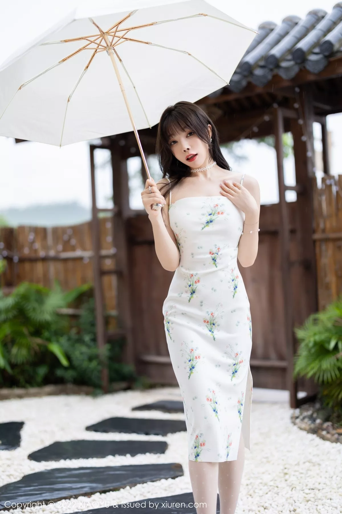 芝芝写真
