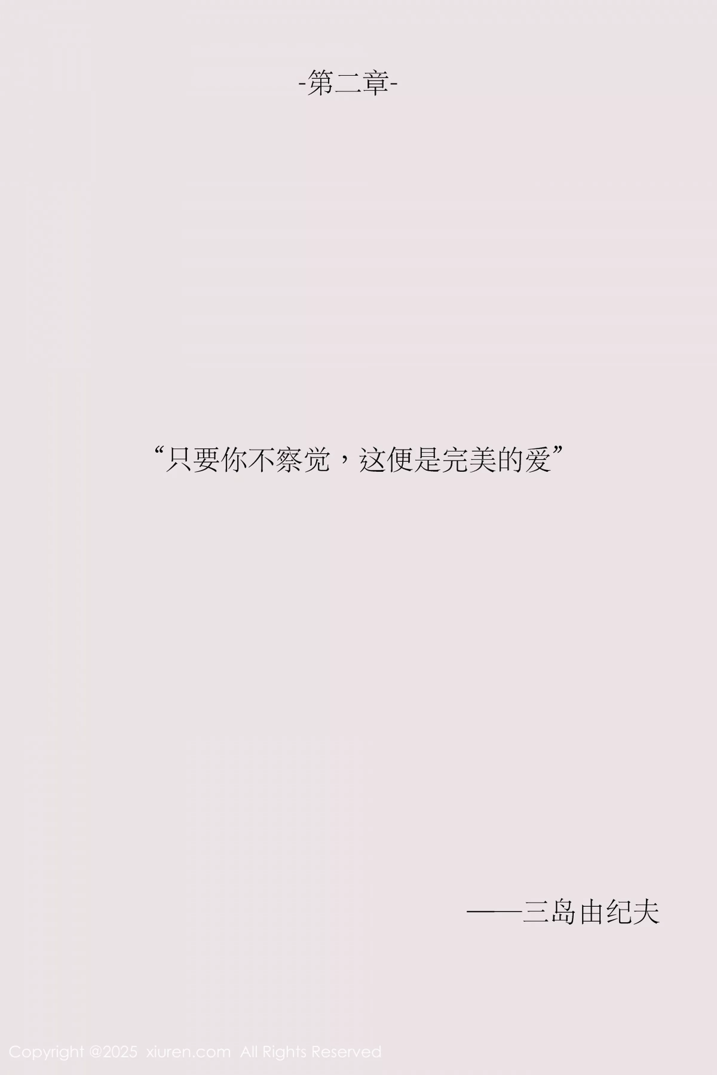 布丁写真