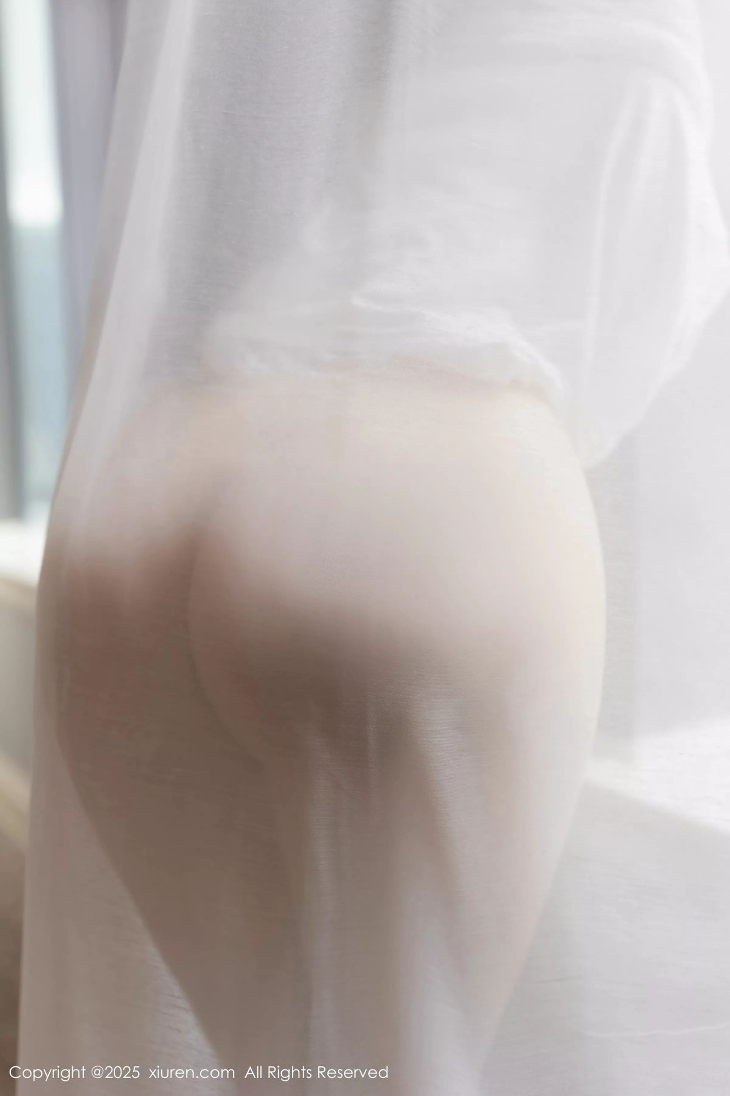 鱼子酱写真